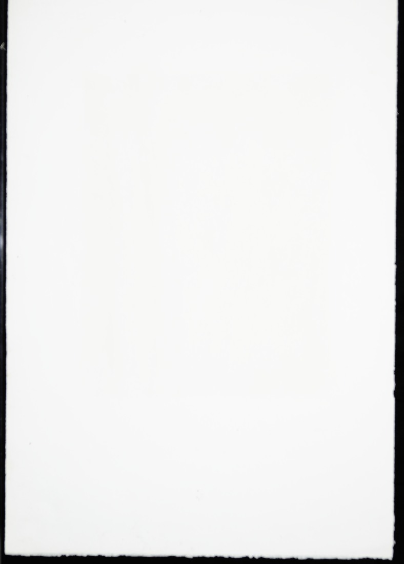 High-resolution lithograph